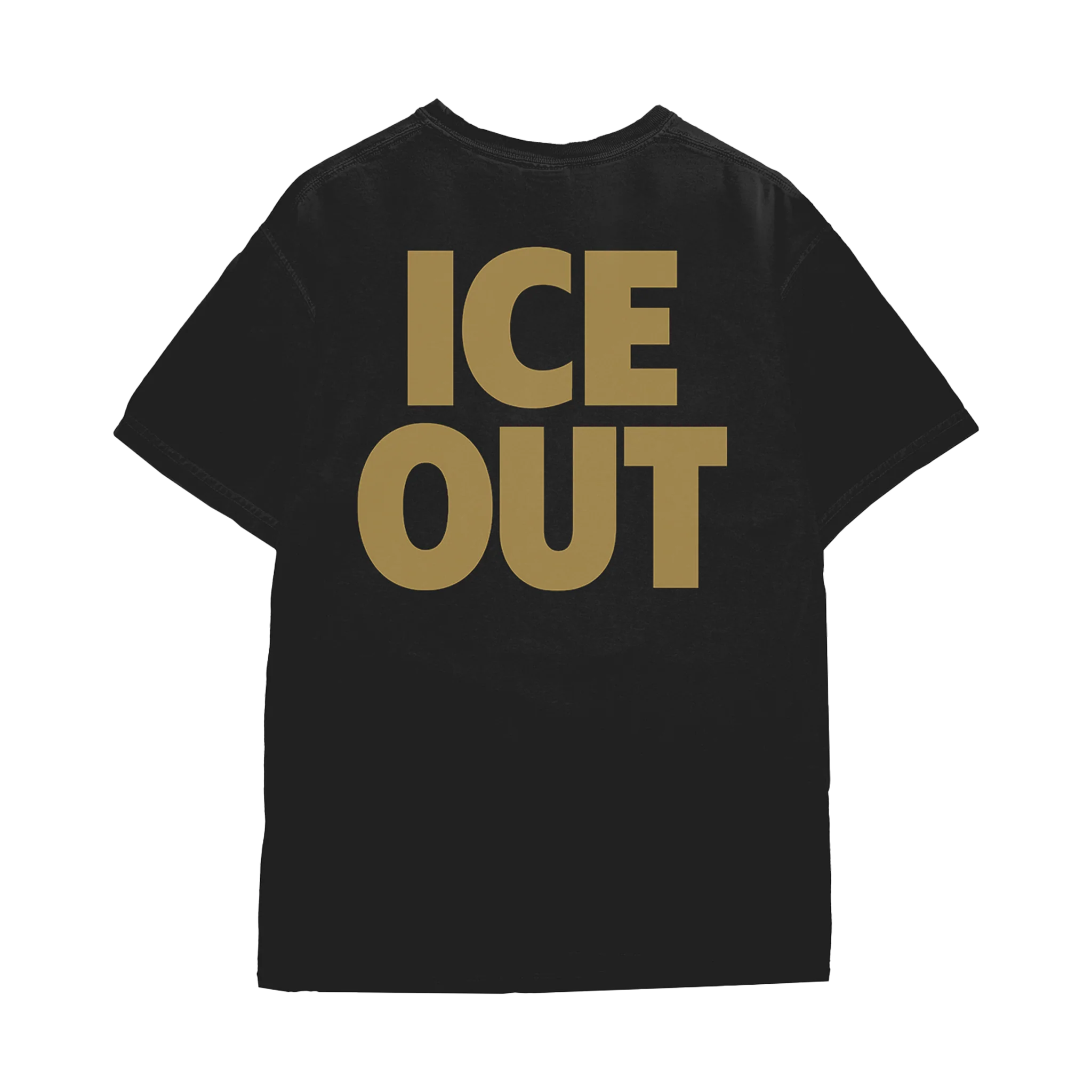 Ash & Ice 10th Anniversary T-Shirt - Image 3
